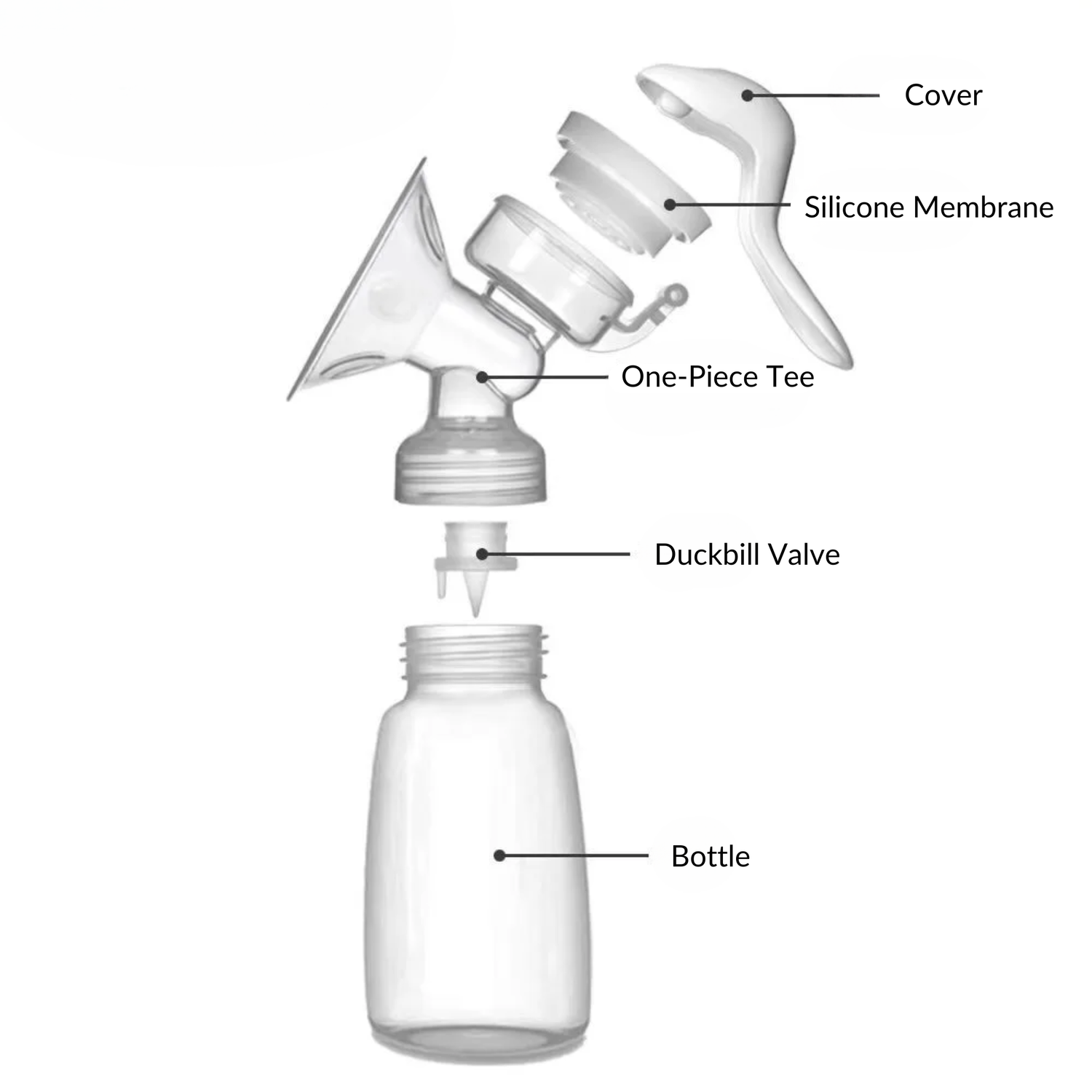Display the easy to clean disassembled pump parts.