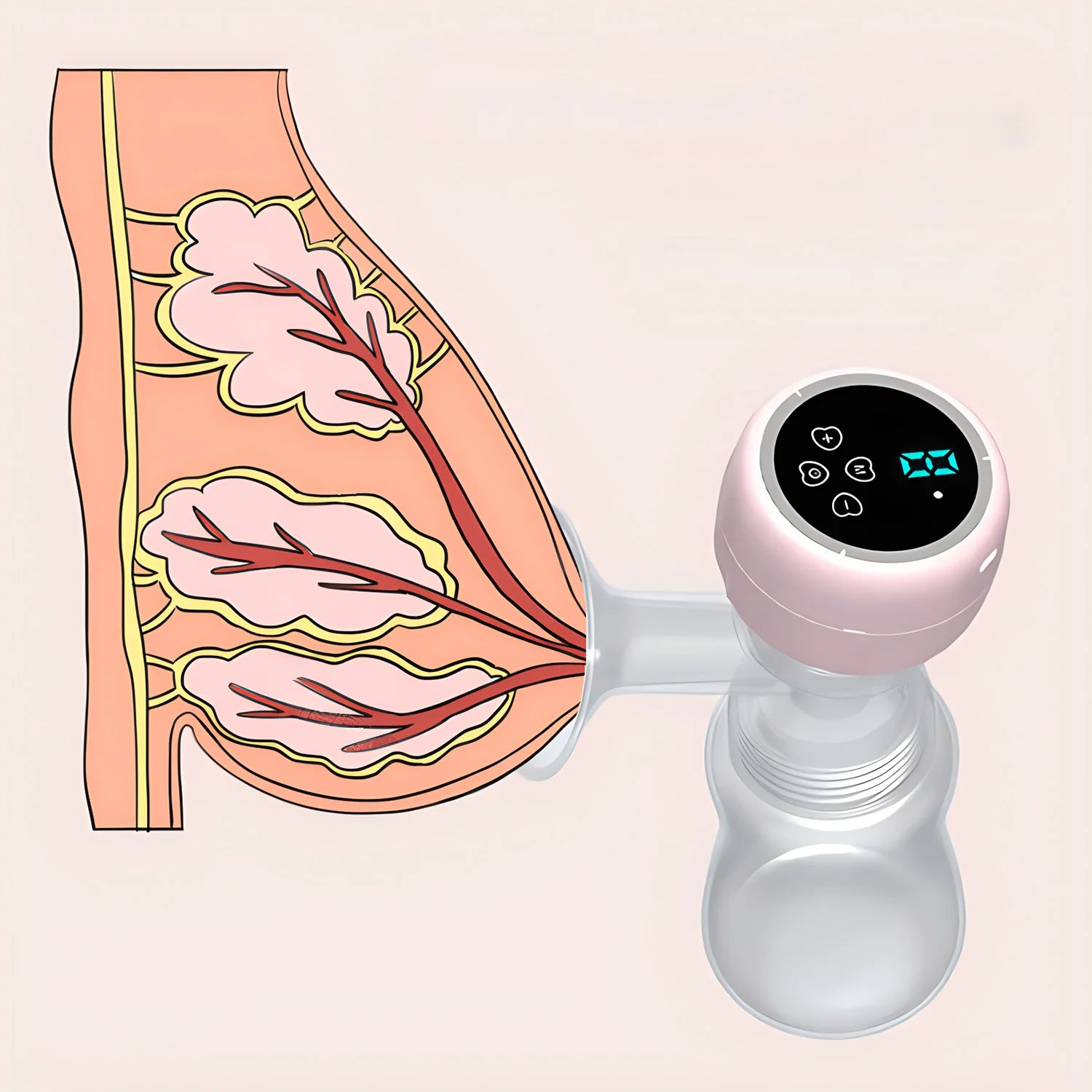 Electric Breast Pump - Connected to a Nipple