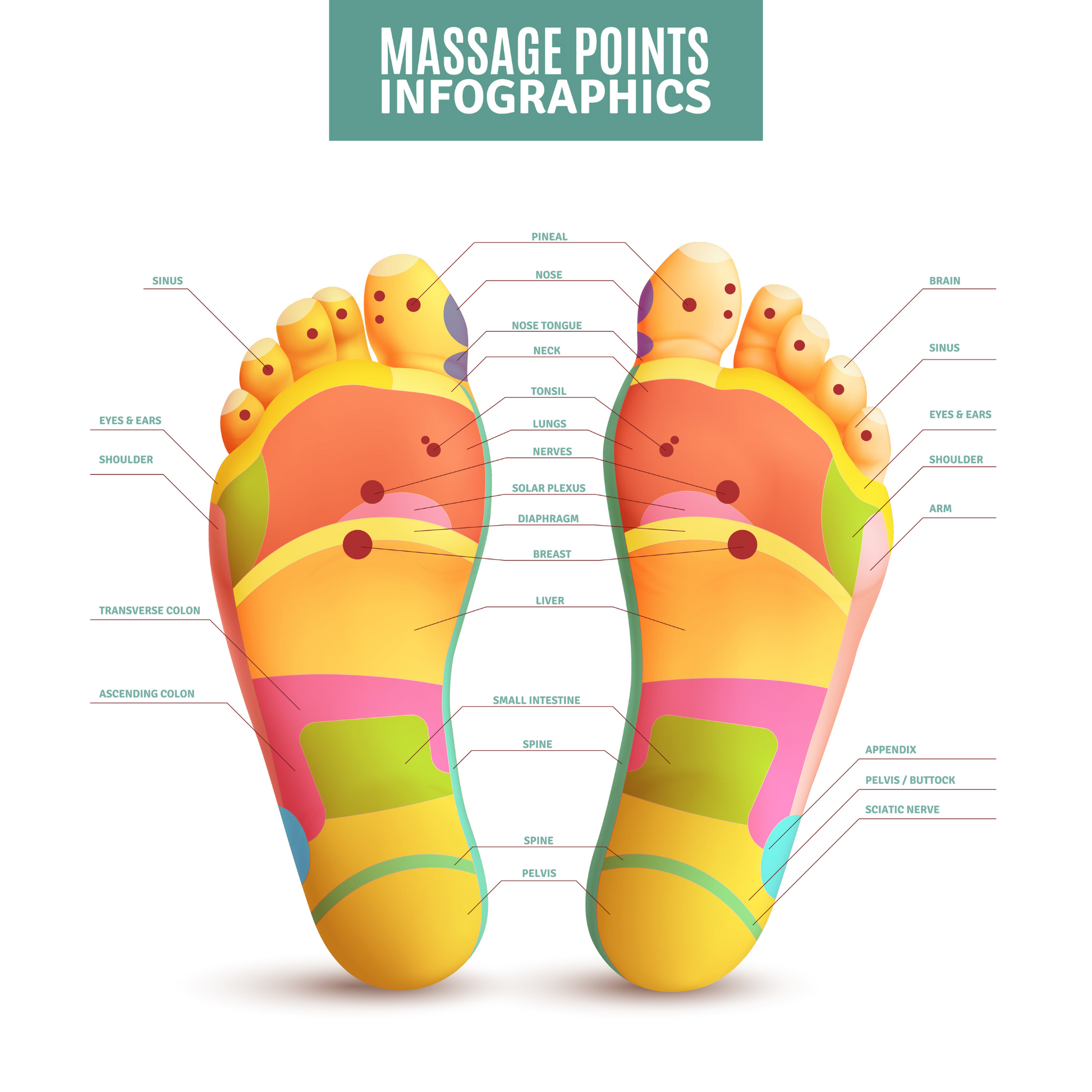 Massage Points Infographics