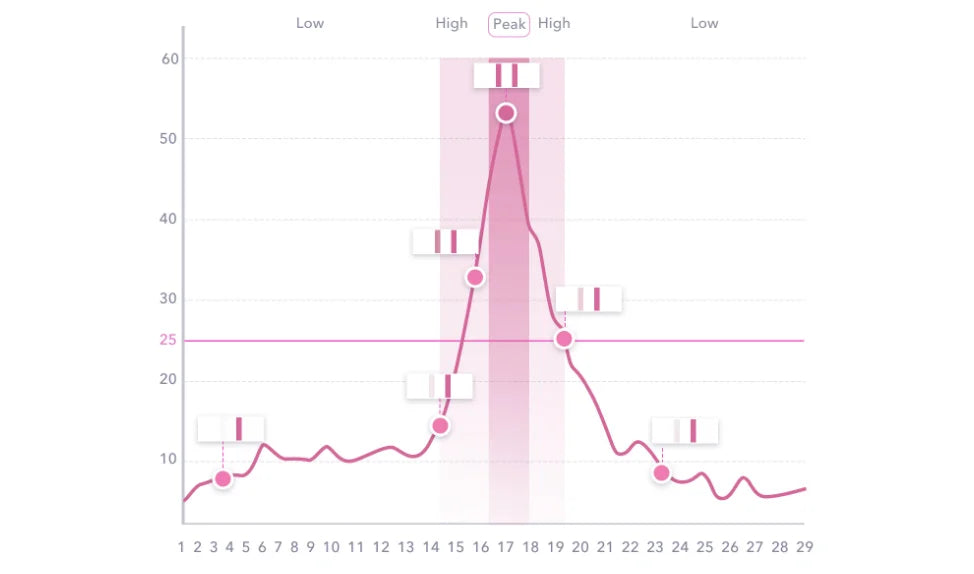 Ovulation Graph